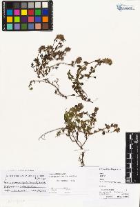 SW_BNB_s3070-01618_IMG-0000000001
