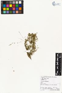 SW_BNB_s3070-01622_IMG-0000000001