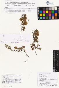 SW_BNB_s3070-01627_IMG-0000000001