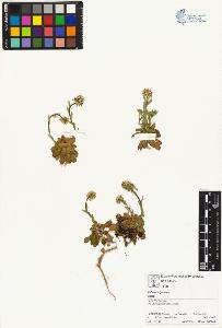 SW_BNB_s3070-01629_IMG-0000000001