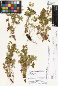 SW_BNB_s3070-01631_IMG-0000000001