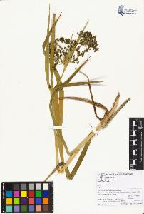 SW_BNB_s3070-01636_IMG-0000000001