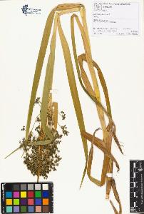 SW_BNB_s3070-01637_IMG-0000000001