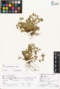 SW_BNB_s3070-01638_IMG-0000000001