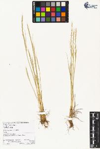 SW_BNB_s3070-01643_IMG-0000000001