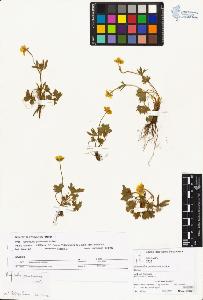 SW_BNB_s3070-01644_IMG-0000000001