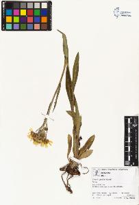 SW_BNB_s3070-01645_IMG-0000000001