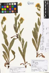 SW_BNB_s3070-01656_IMG-0000000001
