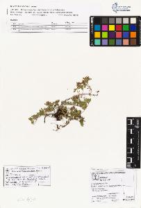 SW_BNB_s3070-01658_IMG-0000000001