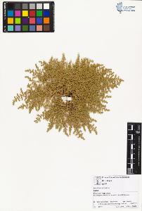 SW_BNB_s3070-01659_IMG-0000000001