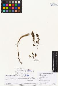 SW_BNB_s3070-01660_IMG-0000000001