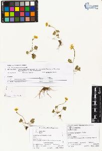 SW_BNB_s3070-01664_IMG-0000000001
