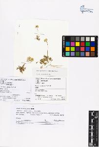 SW_BNB_s3070-01665_IMG-0000000001