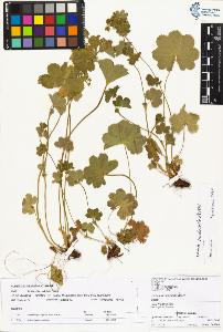 SW_BNB_s3070-01666_IMG-0000000001