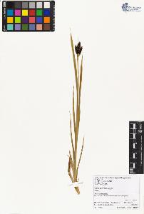 SW_BNB_s3070-01673_IMG-0000000001
