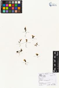 SW_BNB_s3070-01674_IMG-0000000001