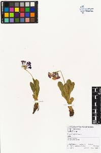 SW_BNB_s3070-01675_IMG-0000000001