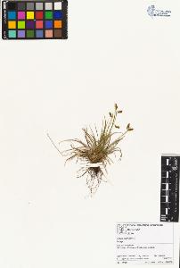 SW_BNB_s3070-01677_IMG-0000000001