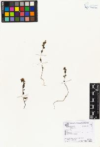 SW_BNB_s3070-01680_IMG-0000000001