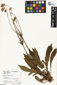 SW_BNB_s3070-01682_IMG-0000000001