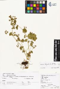 SW_BNB_s3070-01691_IMG-0000000001