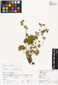 SW_BNB_s3070-01695_IMG-0000000001
