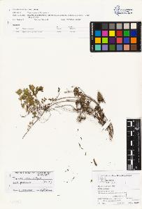 SW_BNB_s3070-01696_IMG-0000000001