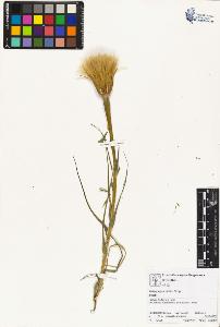 SW_BNB_s3070-01697_IMG-0000000001