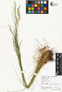 SW_BNB_s3070-01698_IMG-0000000001