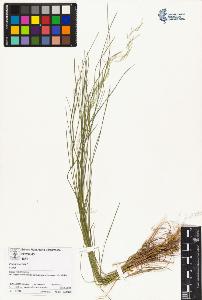 SW_BNB_s3070-01700_IMG-0000000001