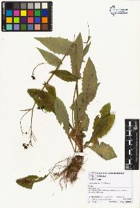 SW_BNB_s3070-01706_IMG-0000000001
