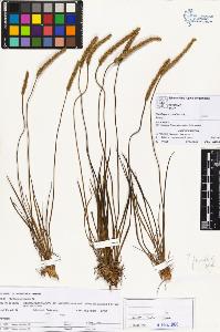 SW_BNB_s3070-01711_IMG-0000000001