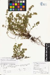 SW_BNB_s3070-01713_IMG-0000000001