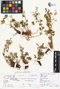 SW_BNB_s3070-01716_IMG-0000000001