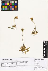 SW_BNB_s3070-01725_IMG-0000000001