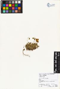 SW_BNB_s3070-01726_IMG-0000000001
