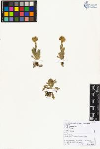 SW_BNB_s3070-01727_IMG-0000000001