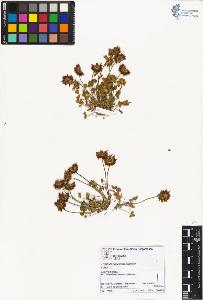 SW_BNB_s3070-01731_IMG-0000000001