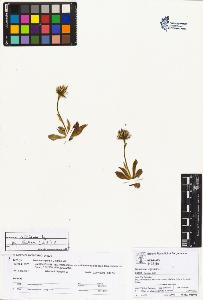 SW_BNB_s3070-01732_IMG-0000000001