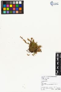 SW_BNB_s3070-01734_IMG-0000000001