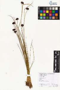 SW_BNB_s3070-01735_IMG-0000000001
