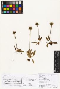 SW_BNB_s3070-01737_IMG-0000000001