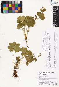 SW_BNB_s3070-01738_IMG-0000000001