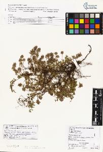 SW_BNB_s3070-01743_IMG-0000000001