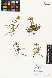 SW_BNB_s3070-01744_IMG-0000000001