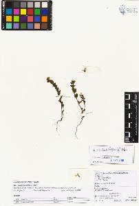 SW_BNB_s3070-01745_IMG-0000000001