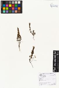 SW_BNB_s3070-01746_IMG-0000000001