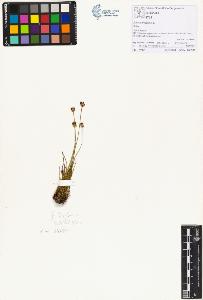 SW_BNB_s3070-01747_IMG-0000000001