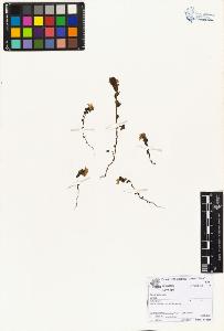 SW_BNB_s3070-01751_IMG-0000000001