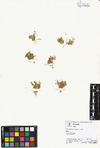 SW_BNB_s3070-01753_IMG-0000000001